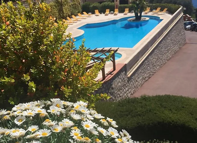 Sunny Panoramic Balcony